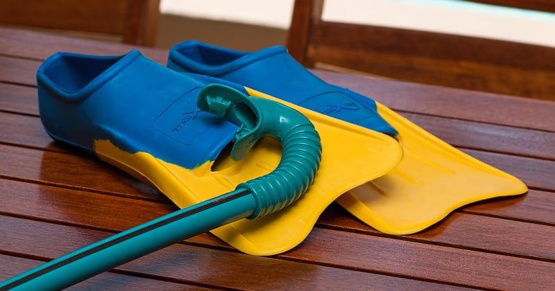 Activités nature à faire avec des enfants pendant les vacances : 15 idées