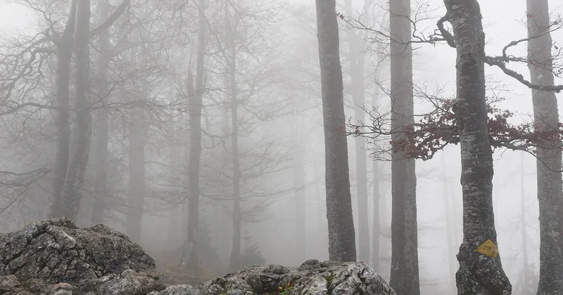 Ce qu'il faut savoir avant de réserver : acompte, annulation et météo