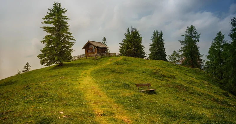 Cabane dans les arbres avec jacuzzi : le vrai argument ou gadget ?